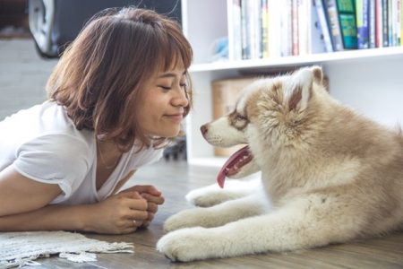 Pet insurance for your dog or cat Pet insurance for your dog or cat